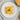Canelones Gourmet